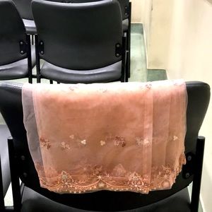 Pink Groovy Lace Dupatta